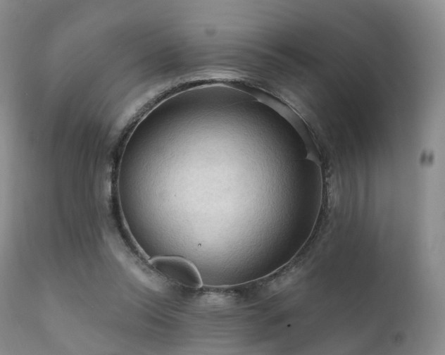 X0000112100350200908111423