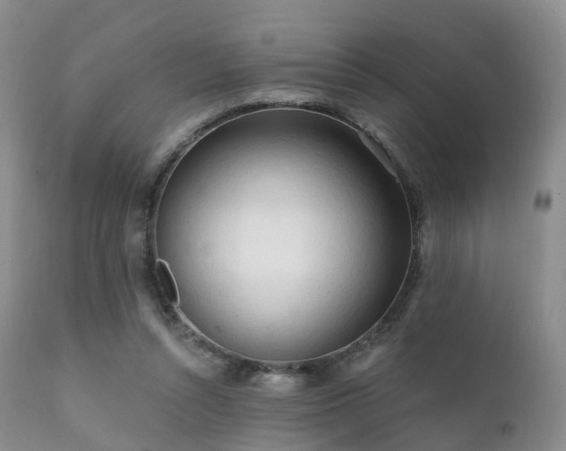 X0000112100352200908111423