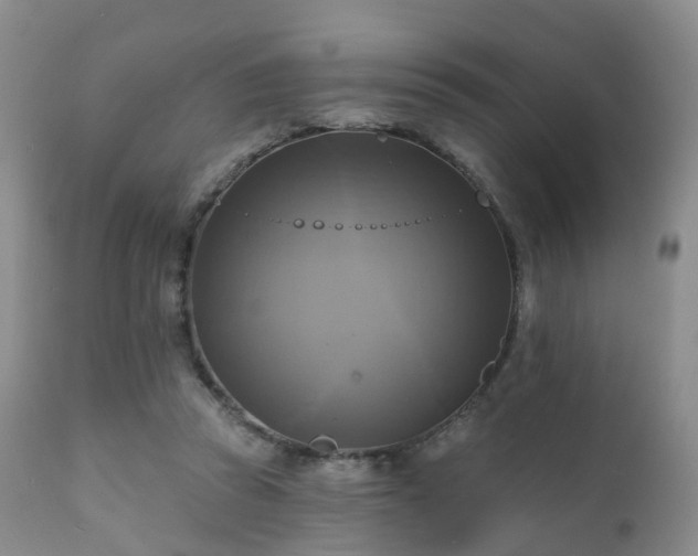 X0000112100353200908111423