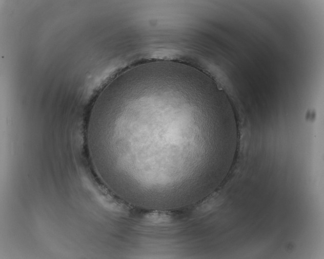 X0000112100354200908111423