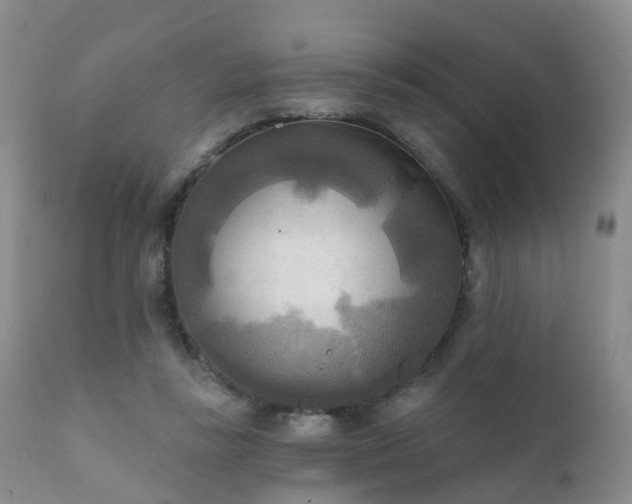 X0000112100355200908111423