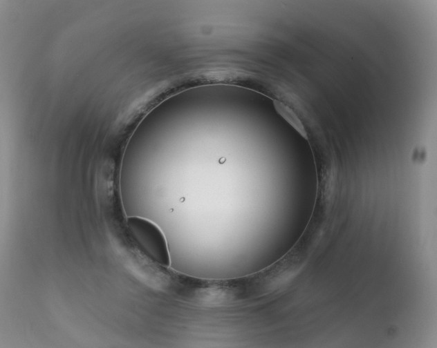 X0000112100356200908111423