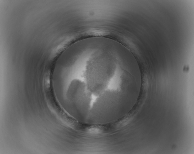 X0000112100358200908111423