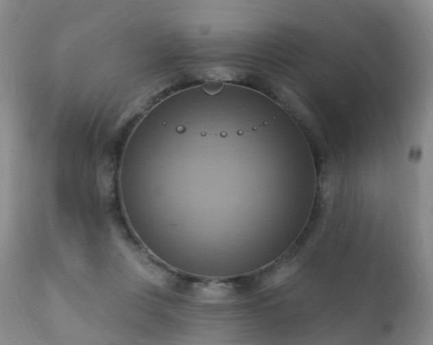 X0000112100359200908111423