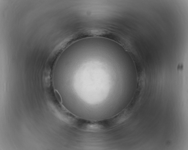 X0000112100360200908111423
