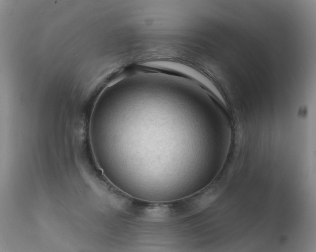 X0000112100362200908111423