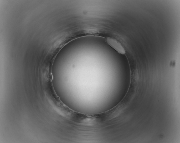 X0000112100364200908111423