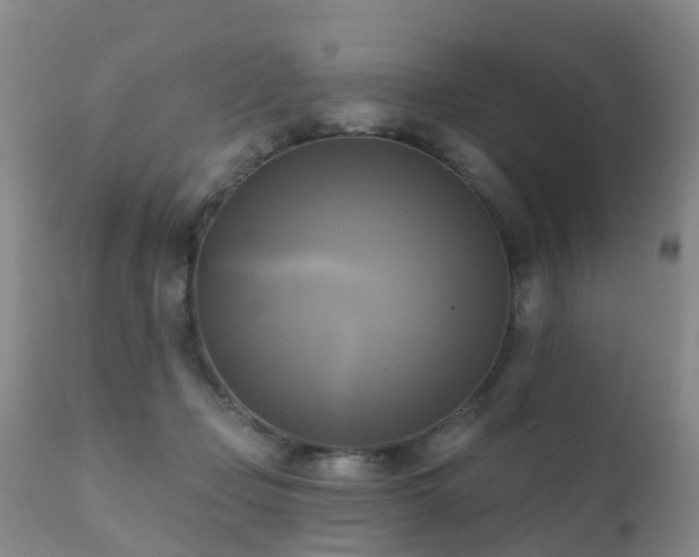 X0000112100365200908111423