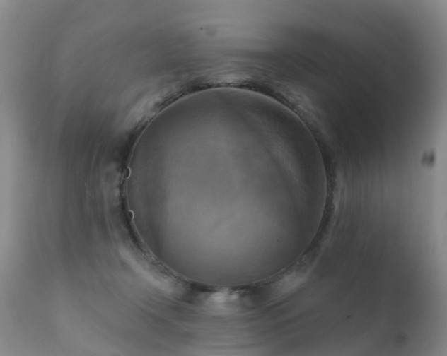 X0000112100366200908111423