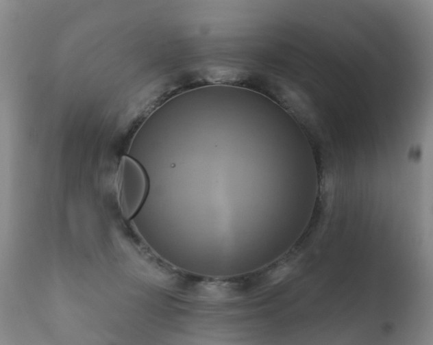 X0000112100367200908111423