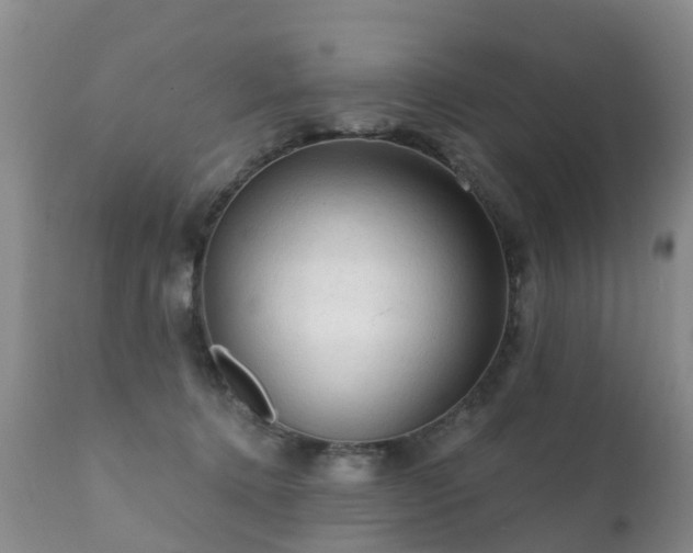 X0000112100368200908111423