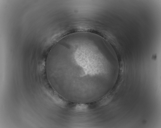 X0000112100369200908111423