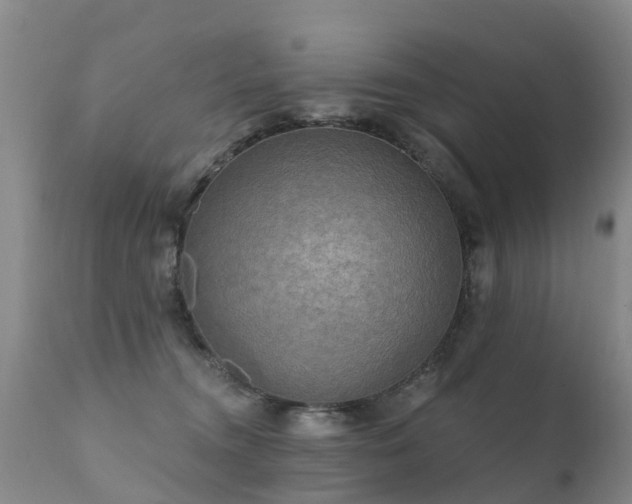 X0000112100372200908111424