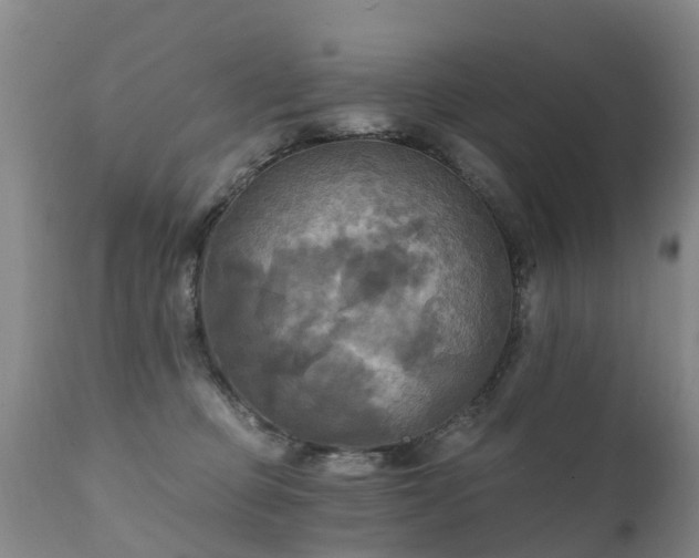 X0000112100373200908111424