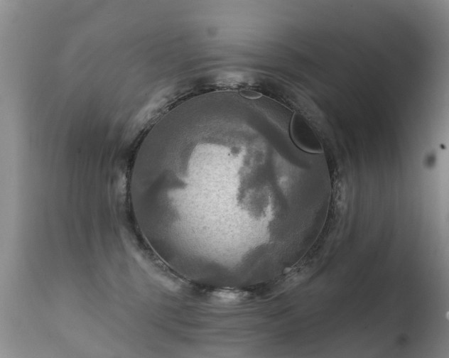X0000112100375200908111424