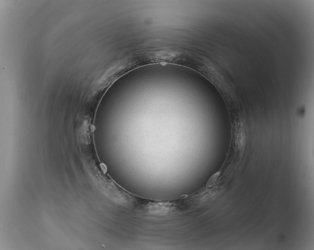 X0000112100378200908111424
