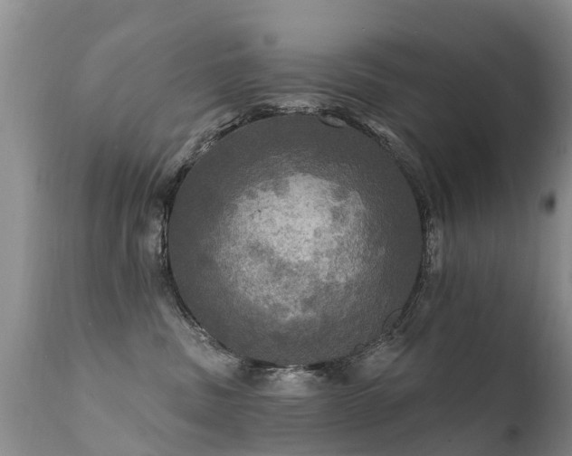 X0000112100379200908111424