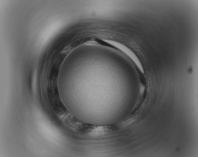 X0000112100382200908111424