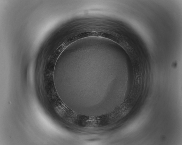 X0000112100383200908111424