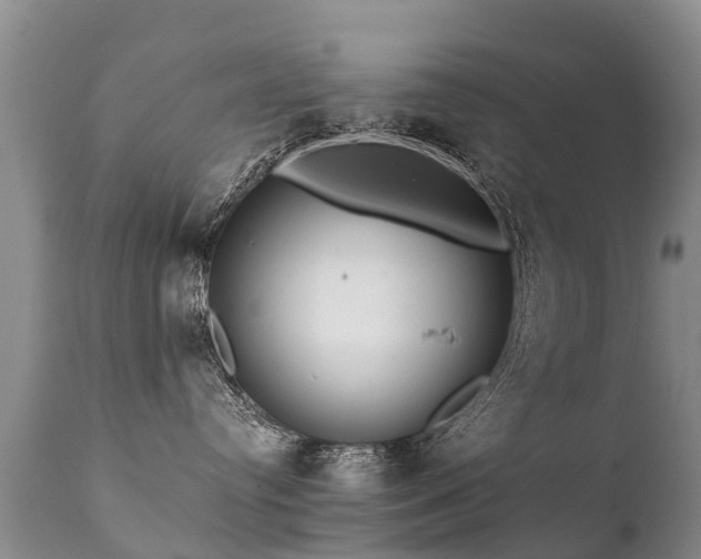 X0000112100384200908111424