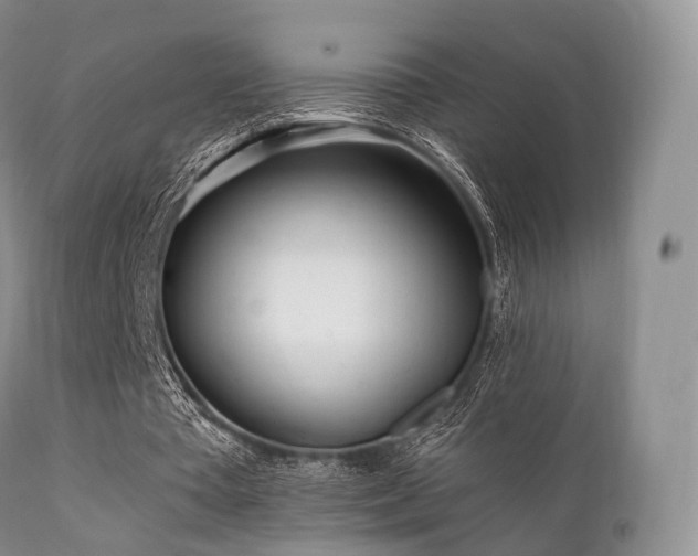 X0000112100385200908111423