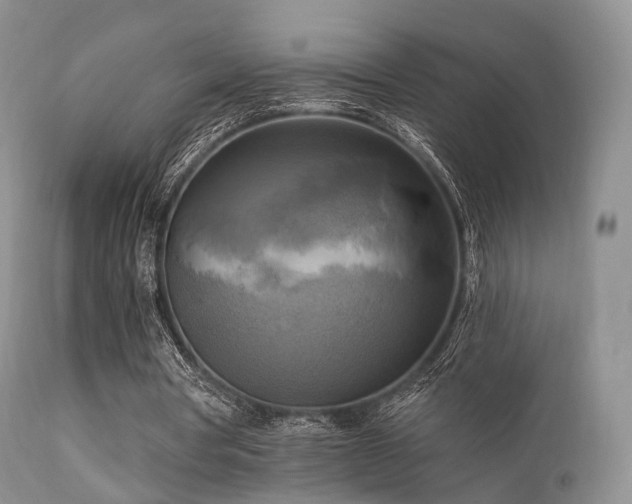 X0000112100386200908111423
