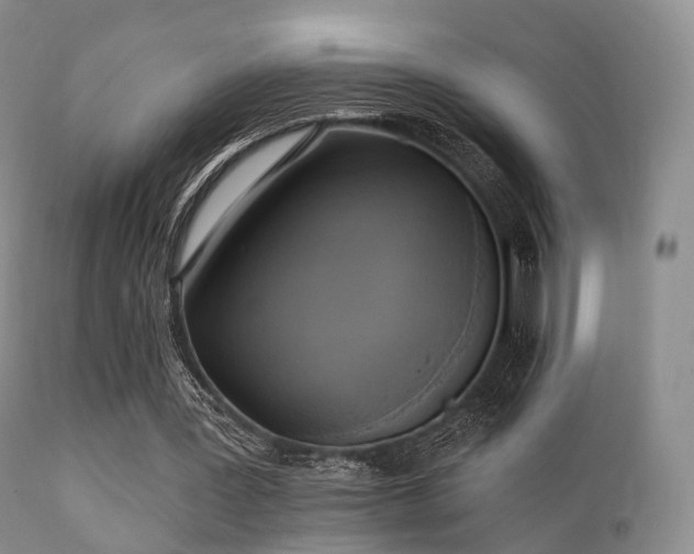 X0000112100387200908111423