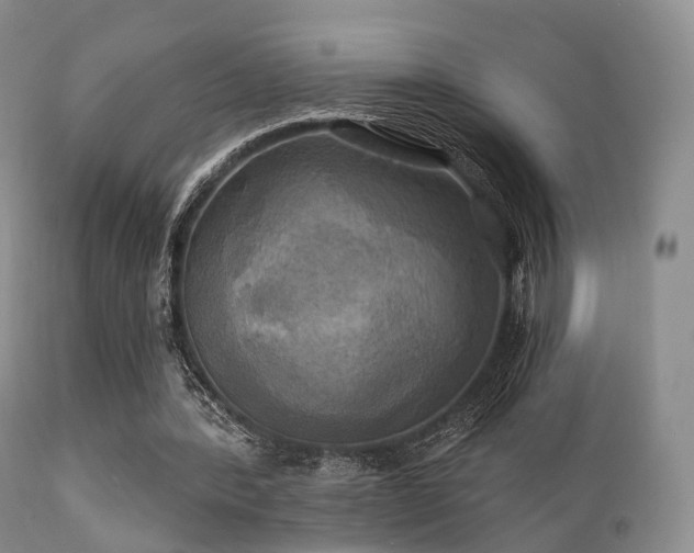 X0000112100388200908111423