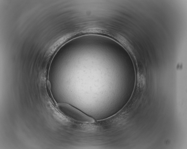 X0000112100389200908111423