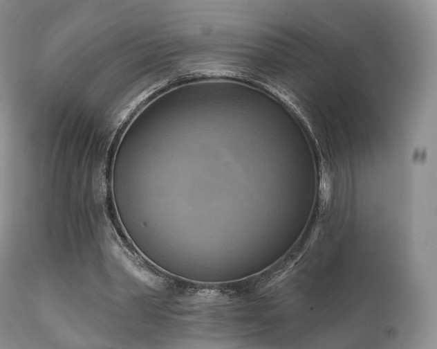 X0000112100390200908111423