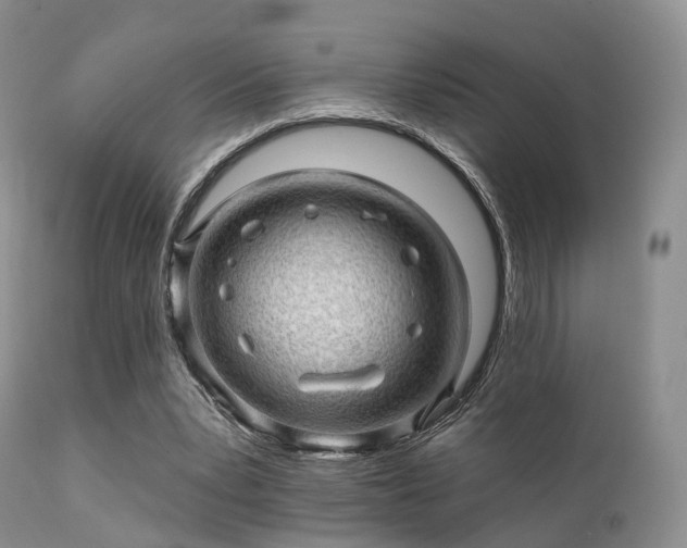 X0000112100391200908111423
