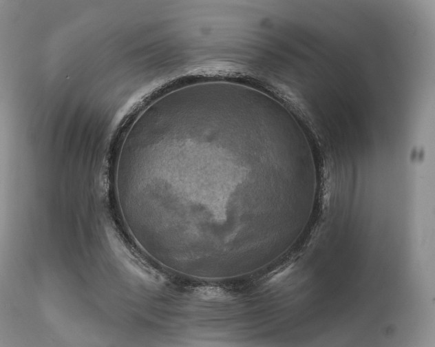 X0000112100392200908111423