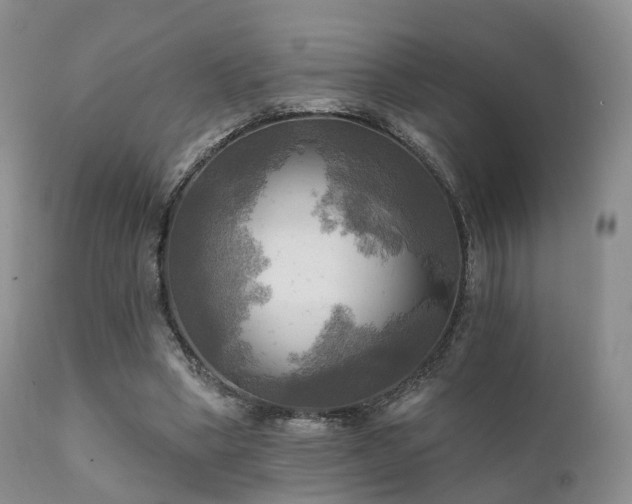 X0000112100394200908111423