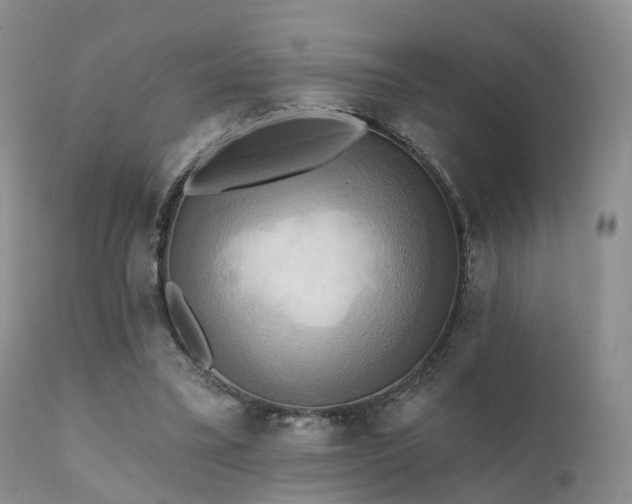 X0000112100395200908111423