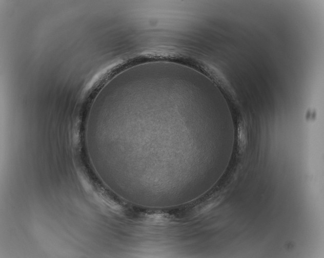 X0000112100396200908111423