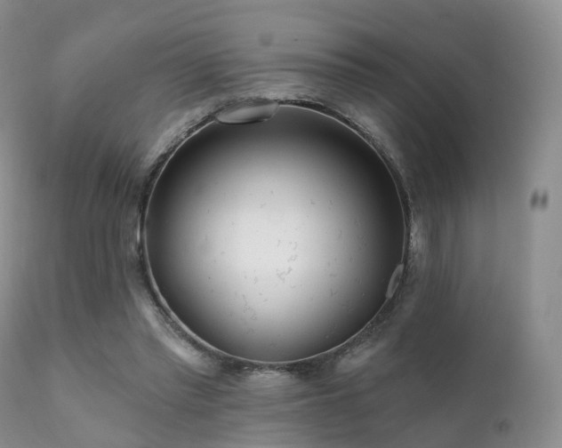 X0000112100397200908111423