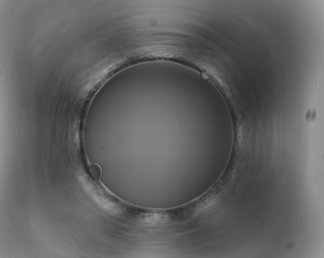 X0000112100398200908111423