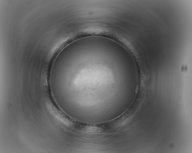 X0000112100399200908111423