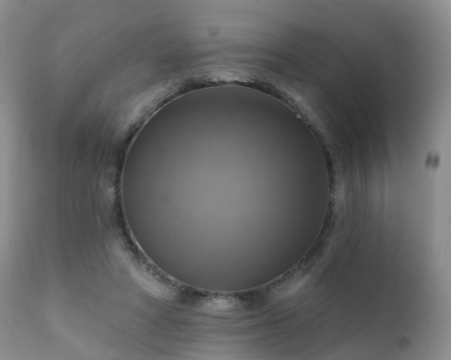 X0000112100402200908111423