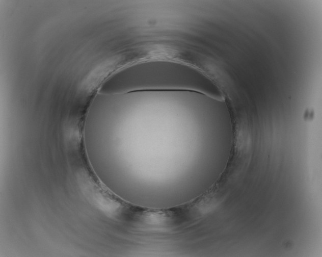 X0000112100405200908111423