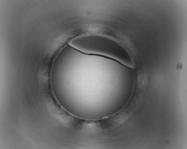 X0000112100407200908111423