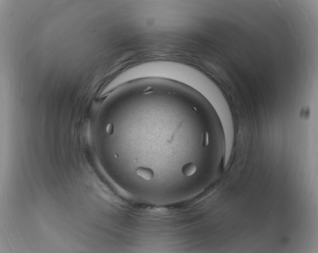 X0000112100409200908111423