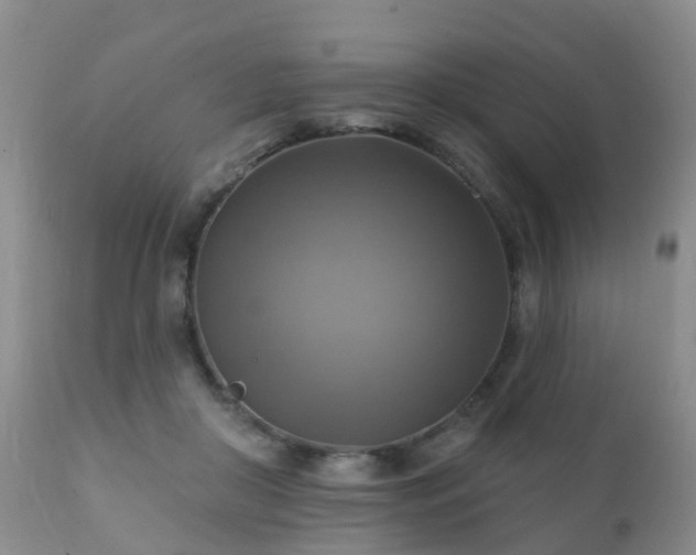 X0000112100410200908111422