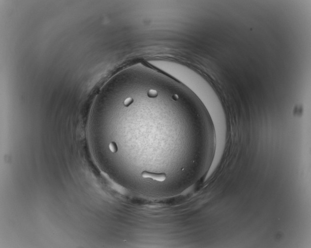 X0000112100411200908111422