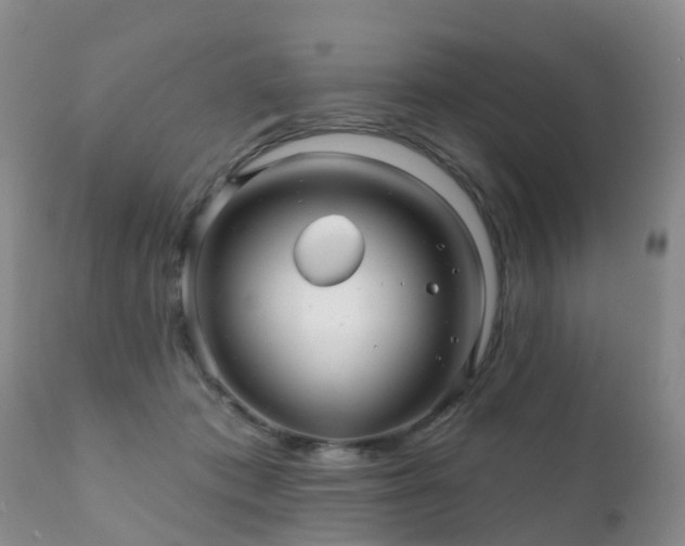 X0000112100413200908111422