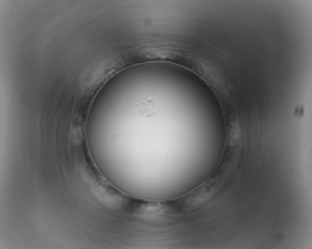 X0000112100414200908111422