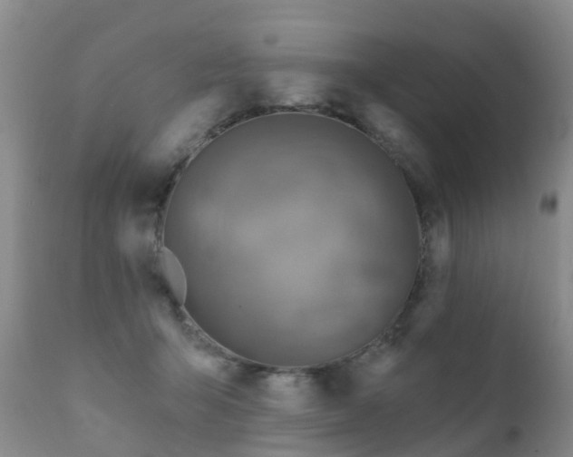 X0000112100415200908111422