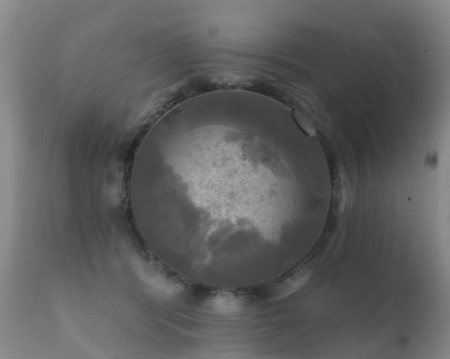 X0000112100416200908111422