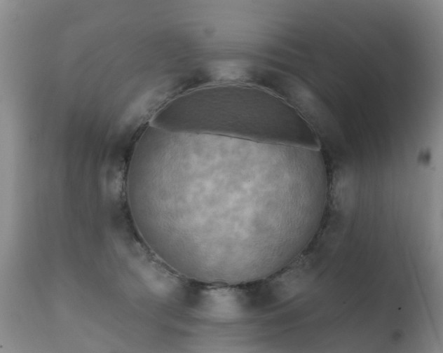 X0000112100417200908111422