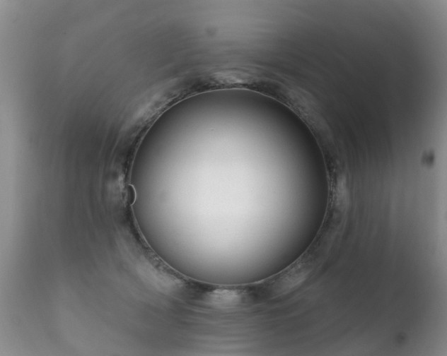X0000112100418200908111422